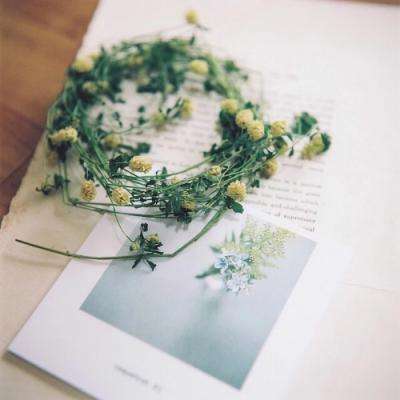 开元棋脾手机app下载